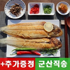 반건조우럭