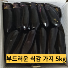 [국내산] 가지 국내산 5kg 생가지 못난이가지 당일수확 햇가지, 1박스