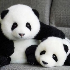 쌍둥바오 판다 팬더 인형 굿즈 대형 봉제인형, 루이팬더-(4개월 30cm)
