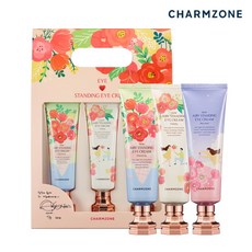 참존메가스탠딩아이크림