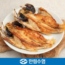 제주금태