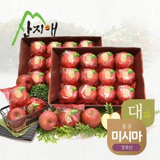 산지애 씻어나온 꿀사과 3kg 2box (대과) / 경북산 미시마 당도선별, 단품없음