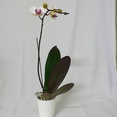 b9f886fd32353c50e167fd7636e81ec62425d20ecf152c4b51ad4110ccc8.jpg