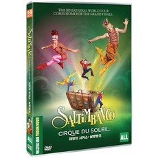 태양의서커스뉴알레그리아