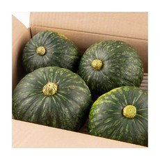 영양만점 달콤한 보우짱 미니단호박 1kg 2~4개, ONE COLOR, ONE SIZE