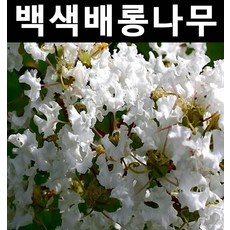 90f767c87f2fe2baf17fe029618add91e7b836915332bb17df024bf8be95.jpg