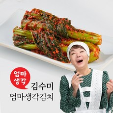 D 김수미 엄마생각_갓김치_3kg_1, 1개, 3kg