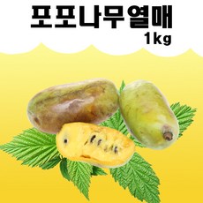 포포과일