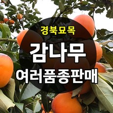 4d236018abf213b866e4ad0357dca141612f57c174be623ca0ac2e2a92fc.jpg