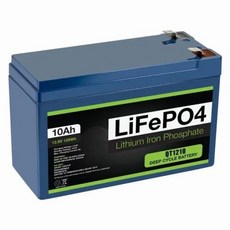 전기 자동차용 하이엔드 리튬 다리미 인산염 배터리 태양 전기 저장 전기 스프레이 LiFePo4 배터리 10Ah 12V, 1개