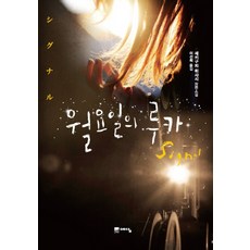 루카책