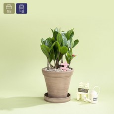 98f8589833d92f6c3b6dd7ecca2a9b50fa6adec72cf9c288165b32d70877.jpg