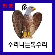 소리나는 독수리 독수리(참새 까치 유해동물 조류퇴치), 1개