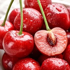 생체리친환경 TOP01