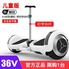 전동이륜평행차