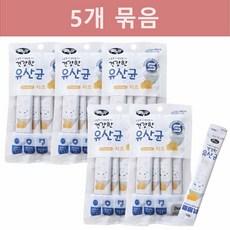 소화 잘 되는 짜먹는 건강한 유산균 강아지 간식(15g x 4개입) 5개 묶음, 60g - 강아지유산균하루올데이