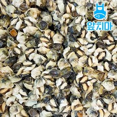 냉동 터키산 자숙 소라살 대용량, 1개, S 10kg