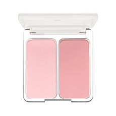 투에이엔듀얼치크