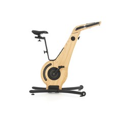 노르드 바이크 실내 자전거 접이식 가정용 사이클 애쉬