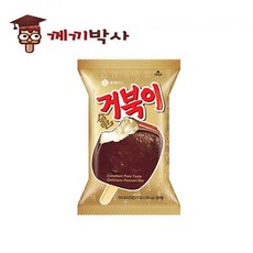 거북이아이스크림