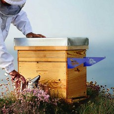 양봉 초보자 꿀벌 브래킷 프레임 검사 상자 벌집 수확용 스탠드 키트, YELLOW, 1개