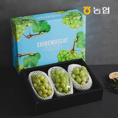 옥천농협샤인머스켓