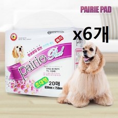 9d03276d14d66c6b9322478e1a8eee6594208e0e07a7a35e500fce22cda6.jpg