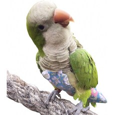 97ac7be63585984d3f06b4437b4491bc4615adacd12f2045c829f3f6aeb0.jpg
