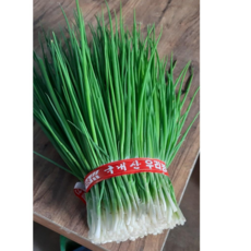 [당일발송][생산자직판] 제주 쪽파 깐쪽파 1kg, 1개