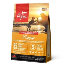 도그씨 간식증정 오리젠 DOG 퍼피 2kg, 1개