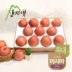 산지애 알뜰 못난이사과(특대) 4kg 1box / 경북산 미시마 당도선별, 1개