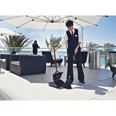 로비프로빗자루