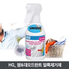 HG 데오드란트얼룩제거제 250ml Perspiration & Deodorant stain remover 땀얼룩제거제 땀냄새제거 탈취제, 상세페이지 참조, 1개