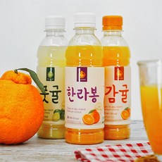 [산지배송] 제주도 올레원 무농약 풋귤주스 한라봉주스 감귤주스 300ml, 감귤주스 6개, 6개