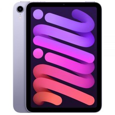 아이패드미니6셀룰러256