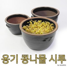 대형 콩나물시루세트x1개 전통 콩나물재배하기