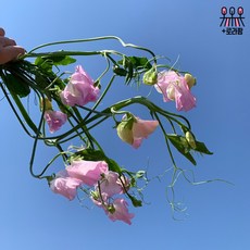 75d66aaadb05728fad30c138cd05285bda7d2d80d416cc8746a689881a0f.jpg