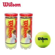 윌슨 Tennis Ball 공 챔피언쉽 하드코어 6구 1세트 WRT100101