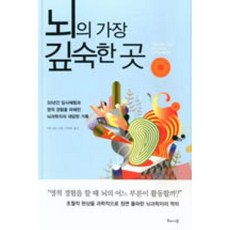 뇌의 가장 깊숙한 곳:30년간 임사체험과 영적 경험을 파헤친 뇌과학자의 대담한 기록, 해나무, 케빈 넬슨 저/전대호 역