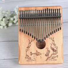 코성형책