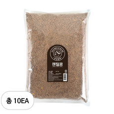 월드그린 싱싱 렌틸콩, 3kg, 10개
