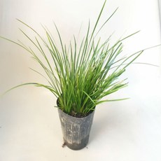 76807ff7861b5adf26e6351bf52679324657e841b4e0871acfadd5ceda37.jpg