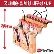 손발모형