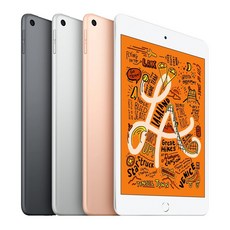 Apple iPad mini 5세대, 스페이스 그레이, 64GB, Wi-Fi