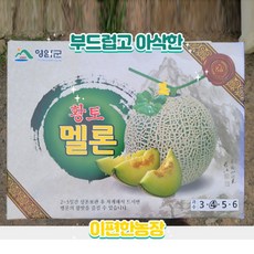 24년 추석선물세트 산지직송 프리미엄 머스크 메론5입(8kg이내), 프리미엄 머스크 메론 5입, 1개