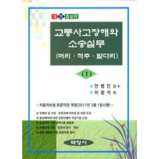 교통사고장해와 소송실무. 1:머리 척추 팔다리, 백영사