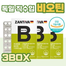 브리타xl독일산