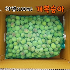 [ 할인쿠폰 ] 문경세제/복사골엔 / 야생 개복숭아 / 순 자연산 (100% 토종) / 당일채취발송, 1개, 야생 개복숭아 5kg