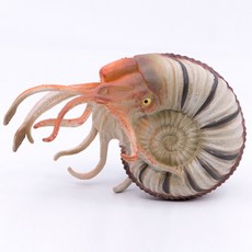 콜렉타