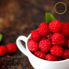 생과일아이스크림